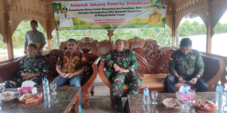 Masalah Penanaman Mangrove, Kades Pasar Rawa Diminta Tidak Membenturkan Warga dengan Pemilik Lahan