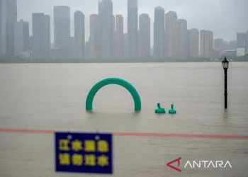 Topan Pulasan Picu Hujan Lebat, Shanghai Evakuasi Ratusan Ribu Warga