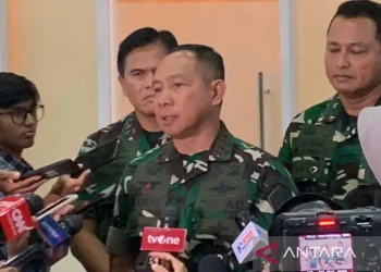 Panglima TNI Akui Sudah Diperintah Presiden Bentuk Angkatan Siber