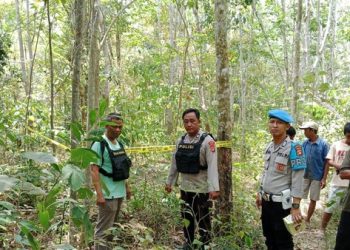 Ngeri! Ibu Hamil 5 Bulan di Sumsel Tewas Diinjak Gerombolan Gajah Liar