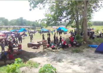 Angin Kencang Landa Lokasi Perkemahan Pramuka, 1 Orang Meninggal Ditimpa Pohon