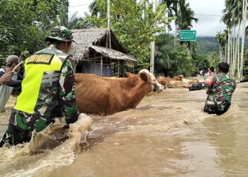 Banjir Hantui Warga Aceh Tenggara
