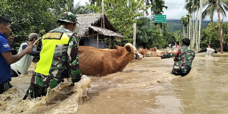 Banjir Hantui Warga Aceh Tenggara