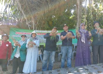 Ketahanan Pangan Harus Jadi Prioritas Pembangunan Ekonomi Aceh