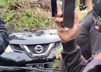 5 Mobil Tertimpa Pohon Tumbang di Jalan Putri Hijau Medan