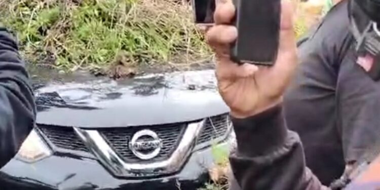 5 Mobil Tertimpa Pohon Tumbang di Jalan Putri Hijau Medan