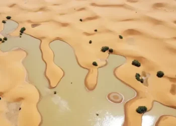Banjir Langka di Gurun Sahara