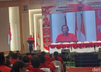 Kala PDIP Sebut Bobby Nasution jadi Beban hingga Melihara Anak Macan