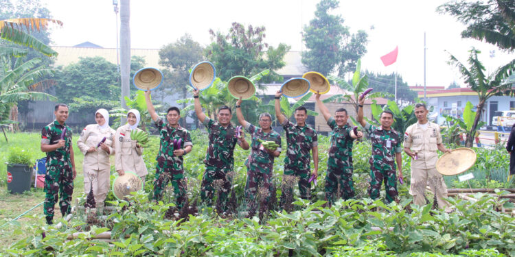 Lanud Husein Sastranegara Panen Sayuran Bersama Warga Bojong Koneng Untuk Dukung Ketahanan Pangan