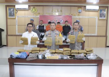 Polres Pasbar Ungkap Kasus 30 Kg Narkotika Jenis Ganja Kering dan Sabu – Sabu