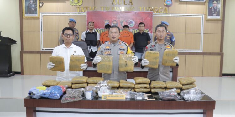 Polres Pasbar Ungkap Kasus 30 Kg Narkotika Jenis Ganja Kering dan Sabu – Sabu
