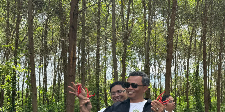 Kerjasama Hutan Bahan Baku Di Luar Konsesi TPL