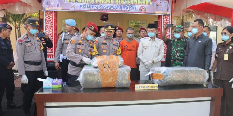 Polres Pasaman Barat Musnahkan Barang Bukti Narkotika Jenis Ganja