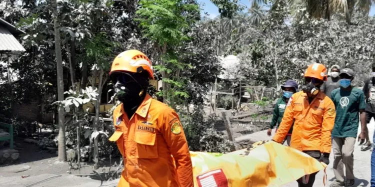 Tim SAR Evakuasi Sembilan Jenazah Korban Letusan Gunung Lewotobi