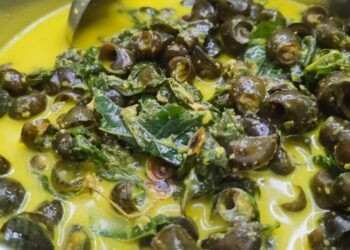 Kelezatan Kuliner Langkat: Wisata Rasa yang Menggugah Selera