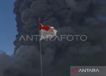 Zona Bahaya Erupsi Lewotobi Laki-Laki Diperluas Jadi 9 km, Pagi Ini