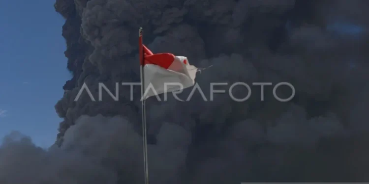 Zona Bahaya Erupsi Lewotobi Laki-Laki Diperluas Jadi 9 km, Pagi Ini