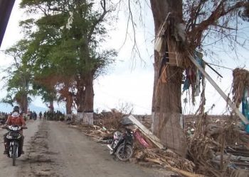 20 Tahun Tsunami Aceh: Ratusan Warga Larut dalam Doa dan Refleksi