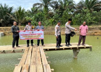 Polsek Lembah Melintang Lakukan Pendampingan Kelompok Budi Daya Pengembangan Ikan Air Tawar