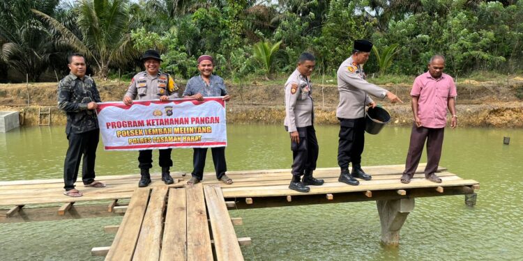 Polsek Lembah Melintang Lakukan Pendampingan Kelompok Budi Daya Pengembangan Ikan Air Tawar