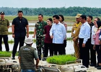 Wapres RI Gibran Tanam Padi Perdana di Langkat, Pemerintah Bantu Rp 20 Miliar Untuk Petani