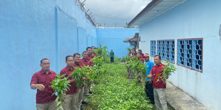 Kalapas Sungailiat Gelar Panen Sayur Kangkung untuk Dukung Ketahanan Pangan