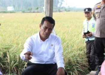 Mentan RI: Pupuk Bersubsidi Mulai Disalurkan 1 Januari 2025