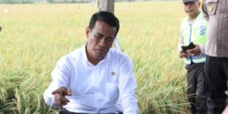 Mentan RI: Pupuk Bersubsidi Mulai Disalurkan 1 Januari 2025