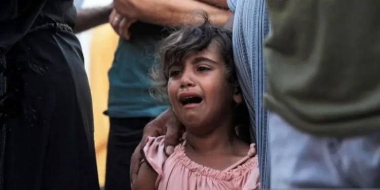 PBB Desak Dunia Upayakan Perdamaian di Gaza Pada 2025