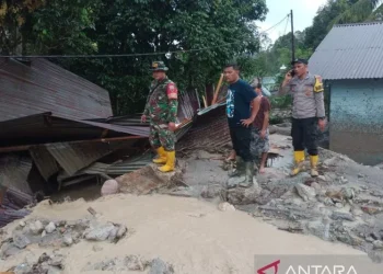 BPBD Tapanuli Utara: 500 Orang Mengungsi Akibat Banjir Bandang