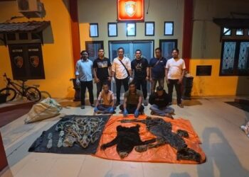 3 Perangkat Desa di Aceh Timur Ditangkap karena Perdagangan Satwa Dilindungi