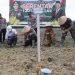 Langkat Dukung Swasembada Pangan Nasional, Penanaman Jagung Serentak 1 Juta Hektare Dimulai