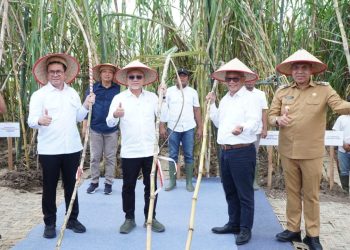 Menko Pangan dan Mendag Pantau Panen Perdana di Langkat, Pj. Bupati Tegaskan Dukungan Swasembada Gula