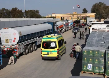 Gaza Hirup Udara Segar Lewat Aliran Bantuanseiring Gencatan Senjatae