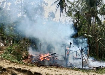 Rumah Warga di Nias Ludes Terbakar Saat Ditinggal Pemilik ke Kebun