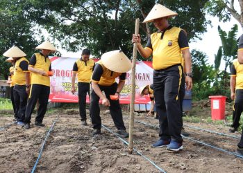 Manfaatkan Lahan Kosong dan Pencapaian Target Swasembada Pangan, Polres Pasaman Barat Gelar Penanaman Benih Jagung