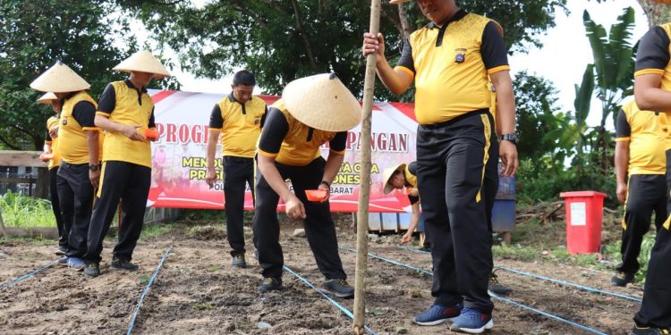 Manfaatkan Lahan Kosong dan Pencapaian Target Swasembada Pangan, Polres Pasaman Barat Gelar Penanaman Benih Jagung