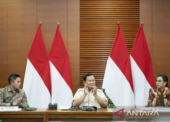 Pemerintah Tetapkan PPN 12 Persen Hanya Berlaku Untuk Barang Mewah