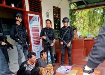 Tim Bareskrim Amankan Mobil Boks Bawa Ganja 500 kg di Pasaman Barat