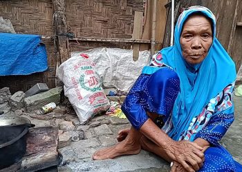 Janda Tua Nek Suryani Dua Hari Tidak Makan, Tidur di Bawah Pohon Sawit, dan Memohon Bantuan Rumah
