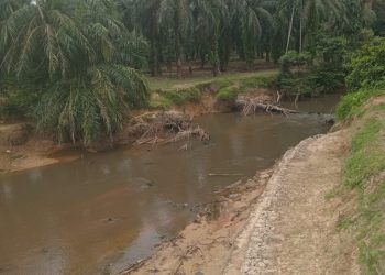 SATMA Milenial AMPI Langkat Desak DLH dan APH Tindak Tegas PTPN4 atas Dugaan Pencemaran Sungai Besilam