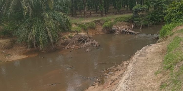 SATMA Milenial AMPI Langkat Desak DLH dan APH Tindak Tegas PTPN4 atas Dugaan Pencemaran Sungai Besilam