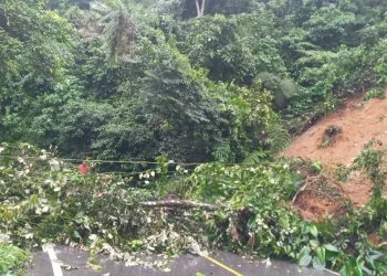 Longsor di Limapuluh Kota, Akses Jalan Padang-Pekanbaru Lumpuh Total