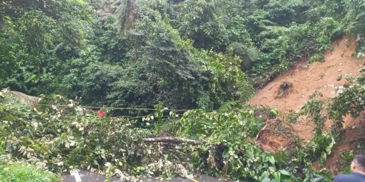 Longsor di Limapuluh Kota, Akses Jalan Padang-Pekanbaru Lumpuh Total