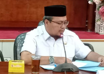 Optimalisasi PAD, DPRD Langkat Dorong Transaksi Keuangan Elektronik