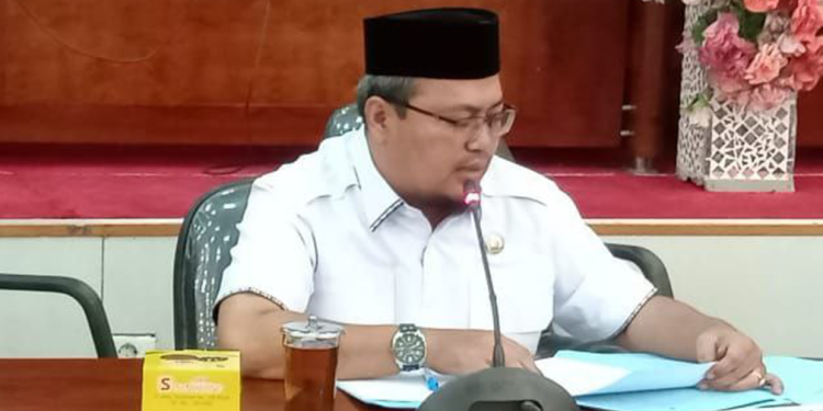 Optimalisasi PAD, DPRD Langkat Dorong Transaksi Keuangan Elektronik