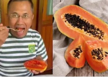 Jangan Dibuang! Ini 9 Manfaat Biji Pepaya bagi Kesehatan