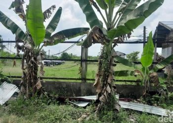 DPRD Bakal Gelar RDP soal Pagar Misterius di Pesisir Deli Serdang