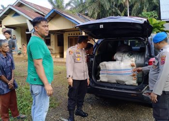 Polisi Tangkap Pengedar Ganja di Pasaman Barat, 82 Paket Barang Bukti Diamankan