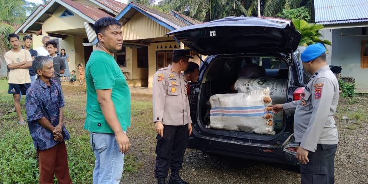 Polisi Tangkap Pengedar Ganja di Pasaman Barat, 82 Paket Barang Bukti Diamankan